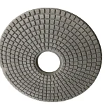 Polishing-pad working-face example
